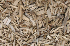 biomass boilers Strabane